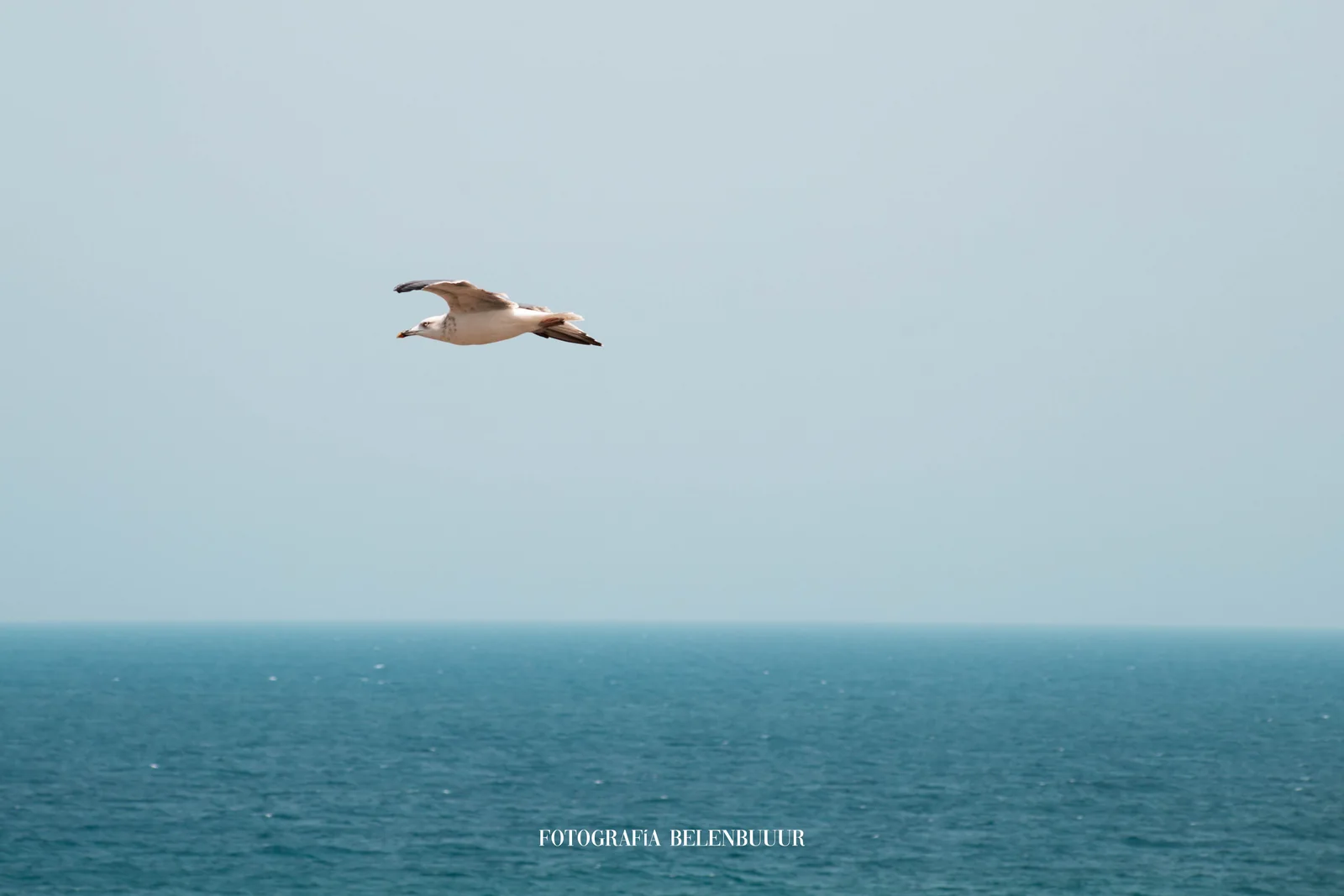 Faro de Cabo de Palos — imagen 2