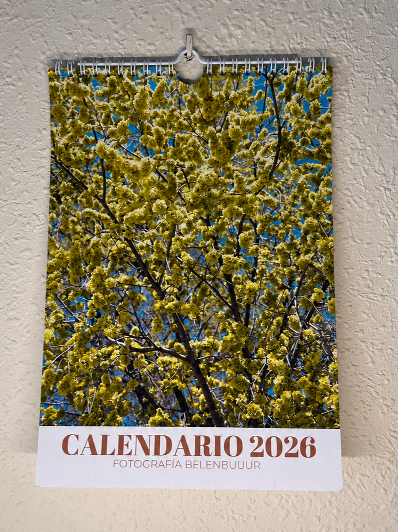 Calendario mensual con fotografías Belenbuuur